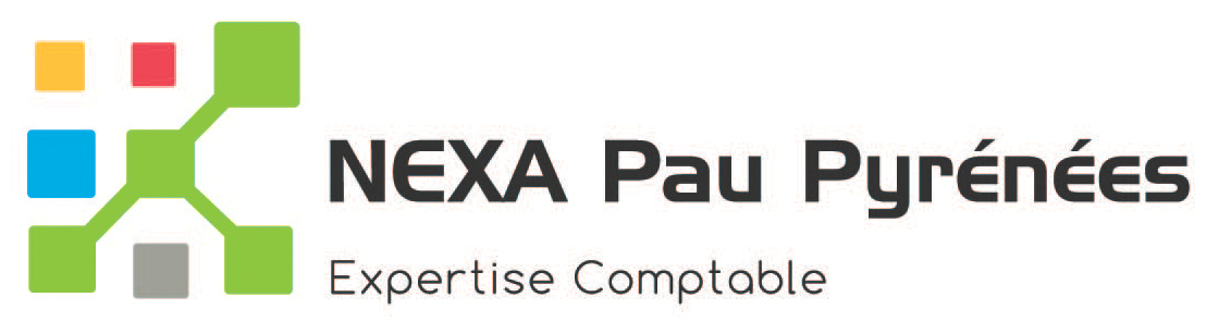 Logo Nexa Pau Pyrénées